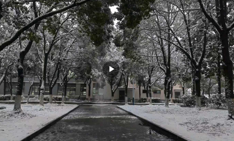 QQ图片20240229105739.png