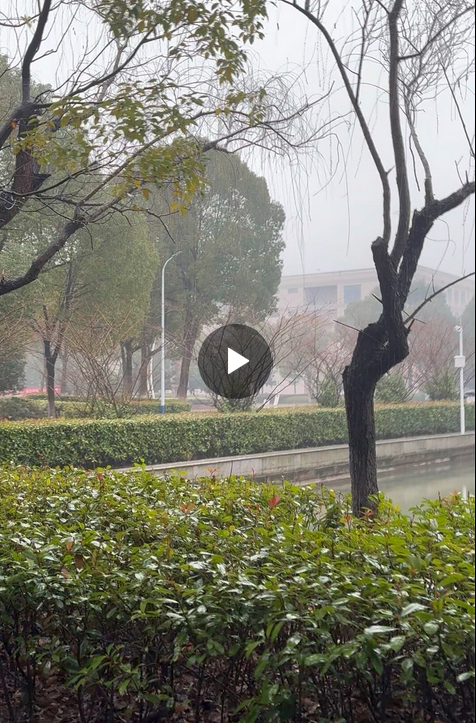 QQ图片20240229105624.png